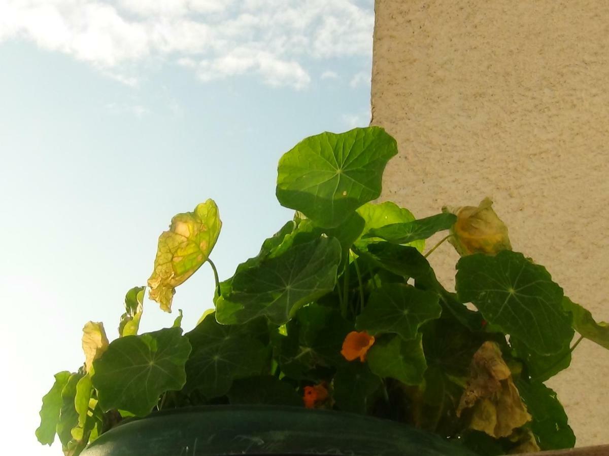 Sunset Sea View Apartment Athen Exterior foto